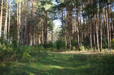 Similar image 6721951