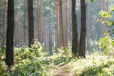 Similar image 6721953