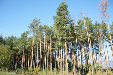 Similar image 6721955