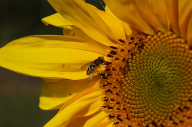 Similar image 6721997