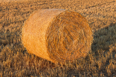 Similar image 6722041