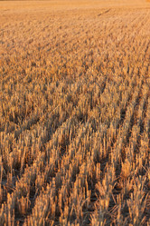 Similar image 6722046