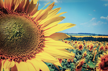 Similar image 6722414