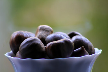 Similar image 6722418