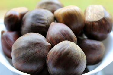 Similar image 6722420