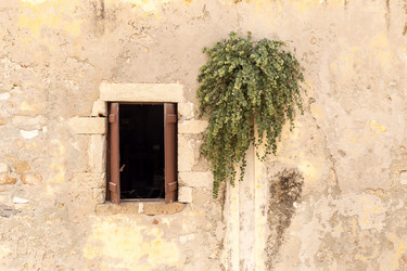 Similar image 6722429