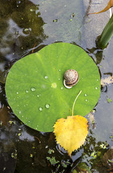 Similar image 6722430