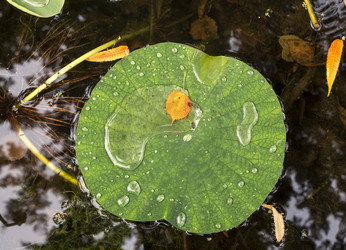 Similar image 6722431