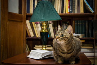 Similar image 6722435