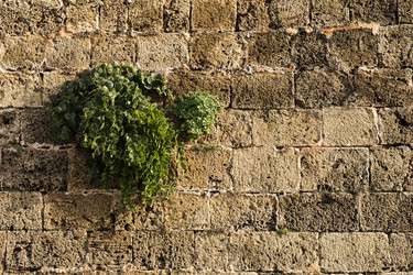 Similar image 6722436