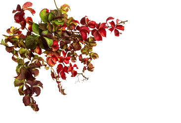 Similar image 6722437