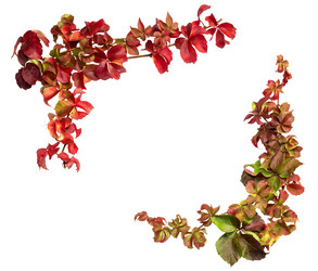 Similar image 6722438