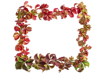 Similar image 6722439