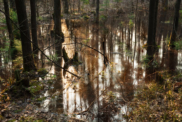 Similar image 6722441