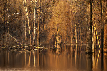 Similar image 6722443