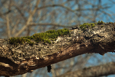 Similar image 6722447