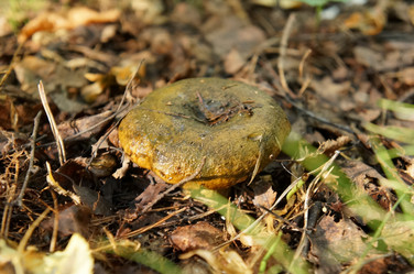 Similar image 6722743