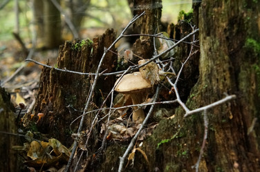 Similar image 6722746