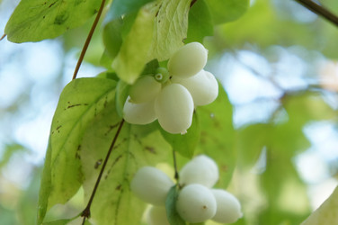 Similar image 6722747