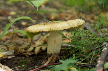 Similar image 6722749