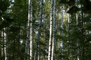 Similar image 6722750