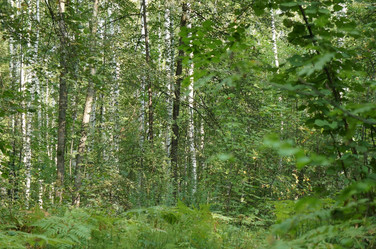 Similar image 6722751