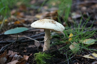 Similar image 6722754