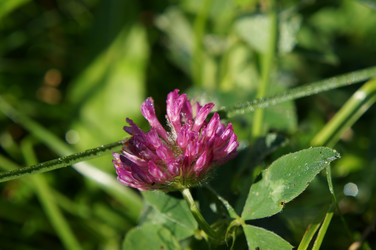 Similar image 6722794