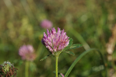 Similar image 6722795