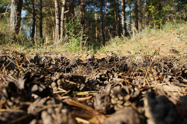 Similar image 6722846