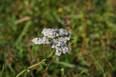 Similar image 6722850