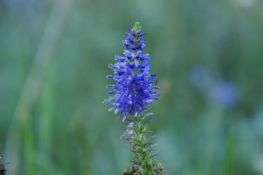 Similar image 6722851