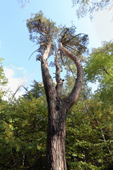 Similar image 6722853