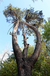 Similar image 6722854