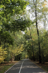 Similar image 6722855