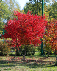 Similar image 6722859