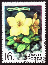 Similar image 6722862