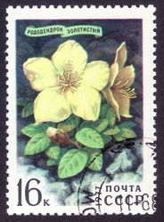 Similar image 6722863