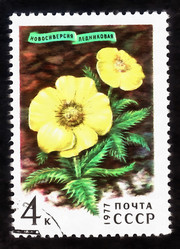 Similar image 6722864