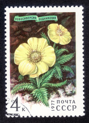 Similar image 6722865