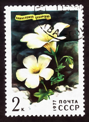 Similar image 6722866