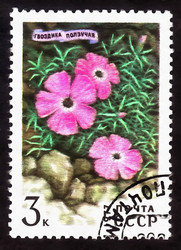 Similar image 6722867