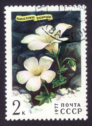 Similar image 6722868