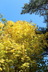 Similar image 6722883