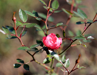 Similar image 6722886