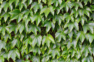 Similar image 6723010