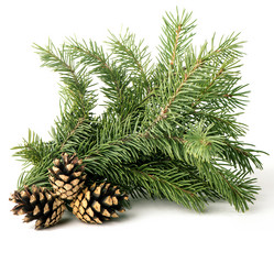 Similar image 6723012