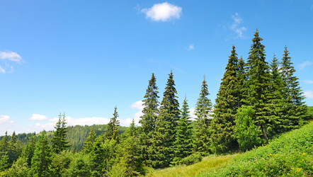 Similar image 6723042