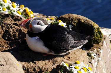 Similar image 6723095