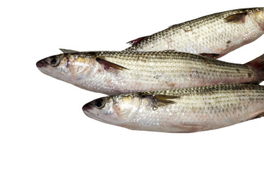 Similar image 6723100